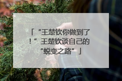 “王楚钦你做到了！”王楚钦谈自己的“蜕变之路”